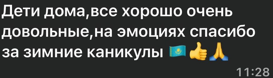 Сообщение родителя в WhatsApp: «Дети дома, всё хорошо, очень довольные, на эмоциях. Спасибо за зимние каникулы»